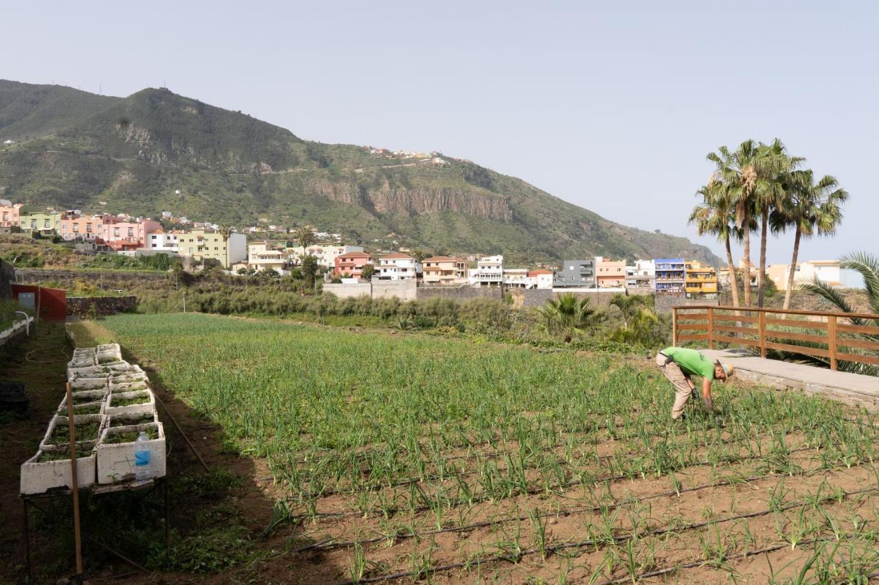 Finca Pico Los Realejos Ngoại thất bức ảnh
