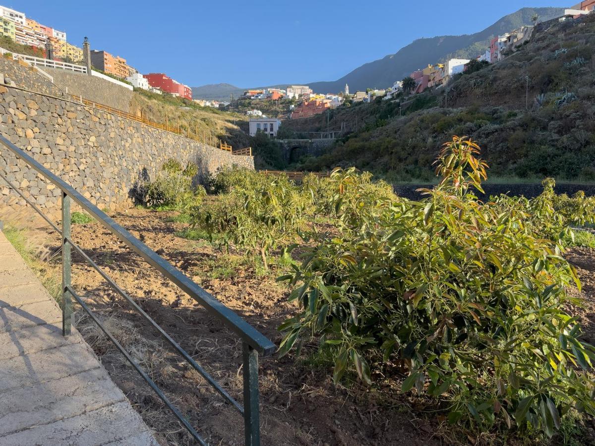 Finca Pico Los Realejos Ngoại thất bức ảnh