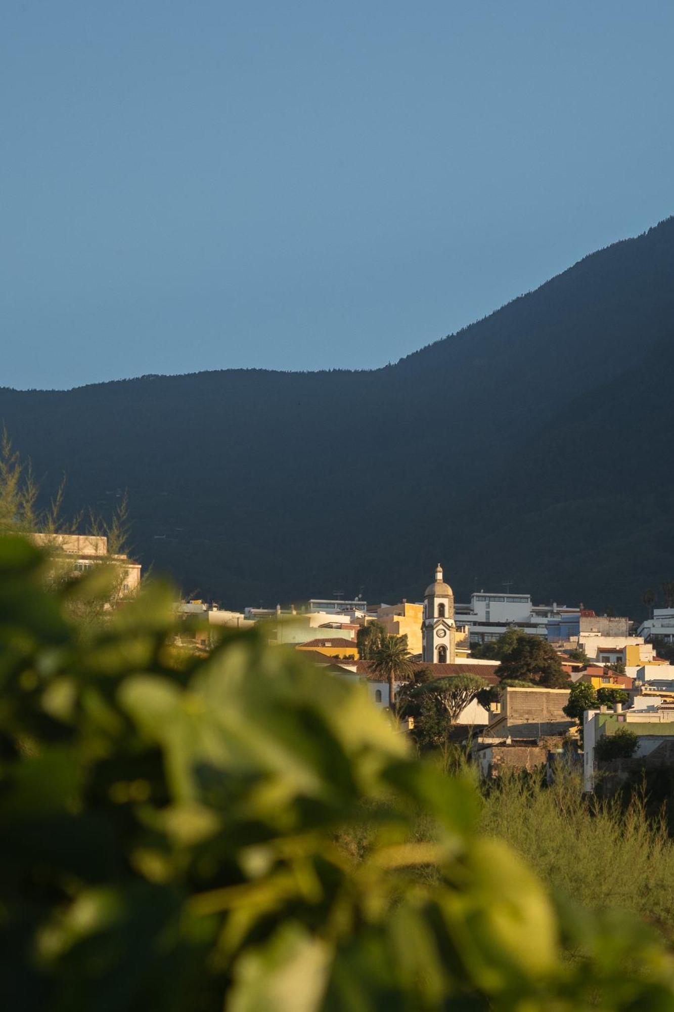 Finca Pico Los Realejos Ngoại thất bức ảnh